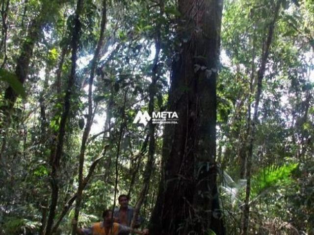 Sítio e chácara venda em Parque das Nações, Juquia