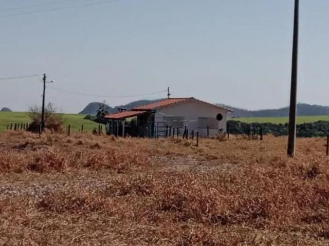Sítio e chácara venda em Região Imediata de Ribeirão Preto, Região Metropolitana de Ribeirão Preto