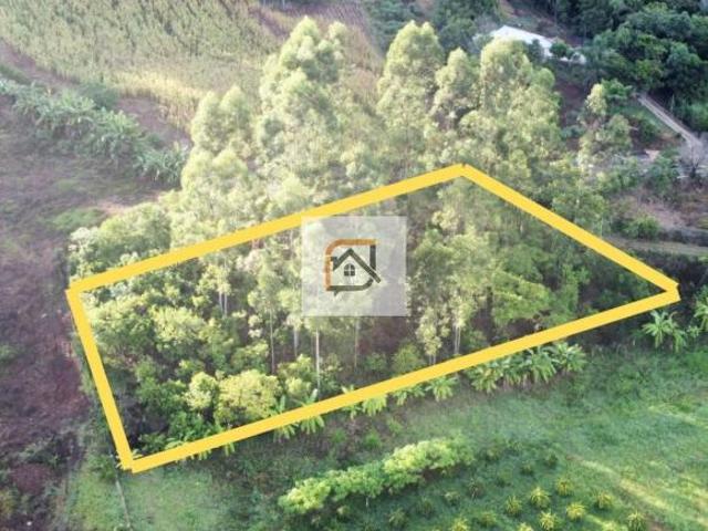 Sítio e chácara venda em Região Geográfica Imediata de Novo Hamburgo - São Leopoldo, Bom Princípio