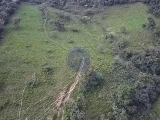 Sítio e chácara venda em Região Imediata de Amparo, Amparo