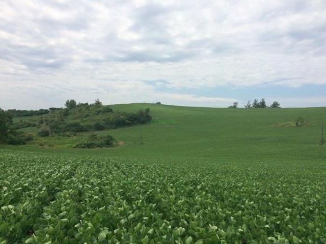 Sitio venda em Uraí