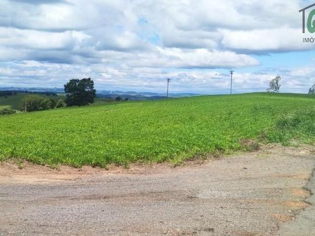 Sítio e chácara venda em Região Imediata de Itapeva, Itararé