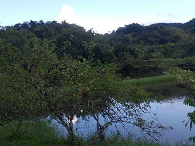 Sítio e chácara venda em Região Imediata de Registro, Miracatu