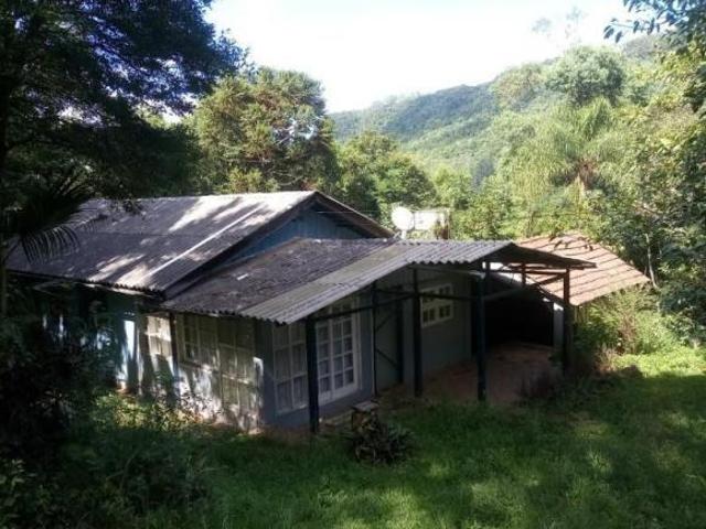 Sítio e chácara venda em Região Geográfica Imediata de Caxias do Sul, Picada Café