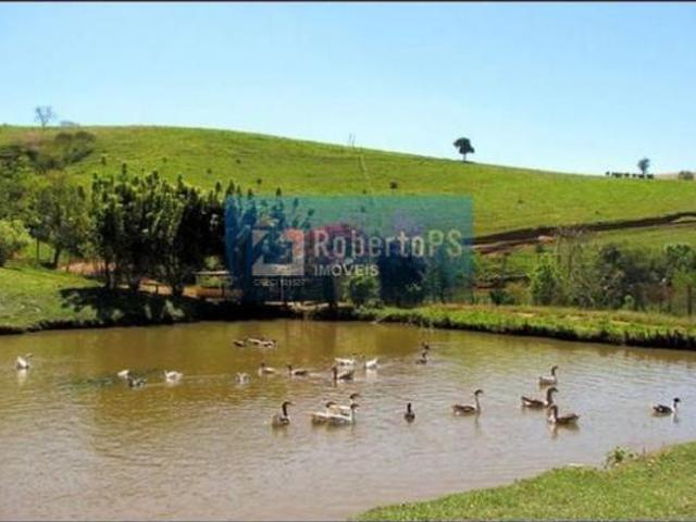 Sítio e chácara venda em Centro, Cambuquira