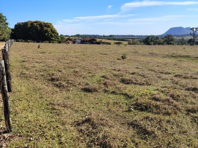 Sítio e chácara venda em Região Imediata de Ribeirão Preto, Região Metropolitana de Ribeirão Preto