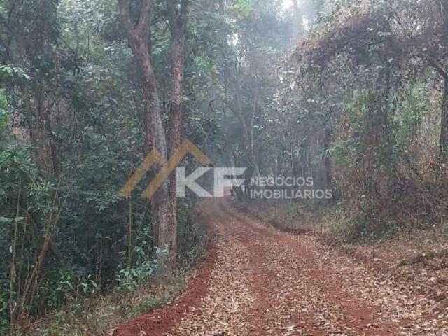 Sítio e chácara venda em Região Imediata de Ribeirão Preto, Região Metropolitana de Ribeirão Preto