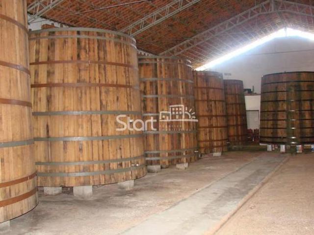 Sítio e chácara venda em Região Imediata de Guaratinguetá, Região Metropolitana do Vale do Paraíba e Litoral Norte