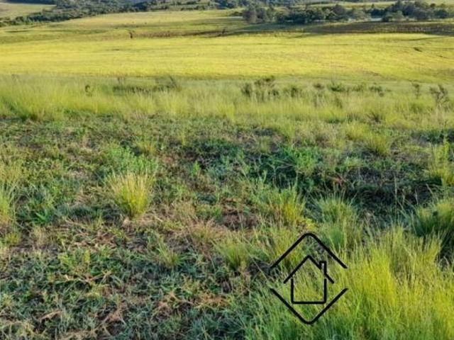 Sítio e chácara venda em Região Geográfica Imediata de Porto Alegre, Região Metropolitana de Porto Alegre