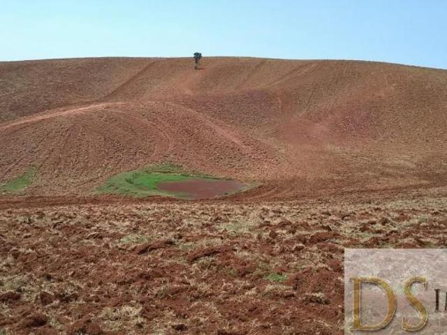 Sítio e chácara venda em Ribeirão Branco