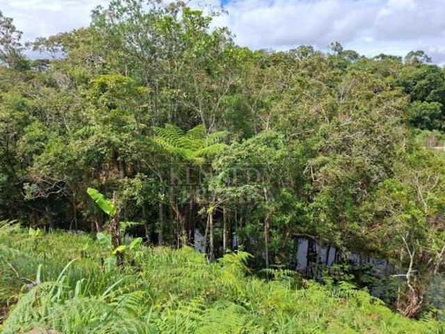 Sítio e chácara venda em Região Imediata de São Paulo, Região Metropolitana de São Paulo