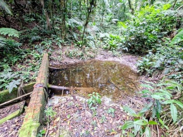 Sítio e chácara venda em Região Imediata de São Paulo, Região Metropolitana de São Paulo