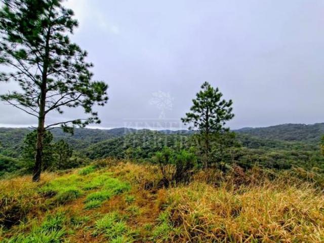 Sítio e chácara venda em Juquitiba