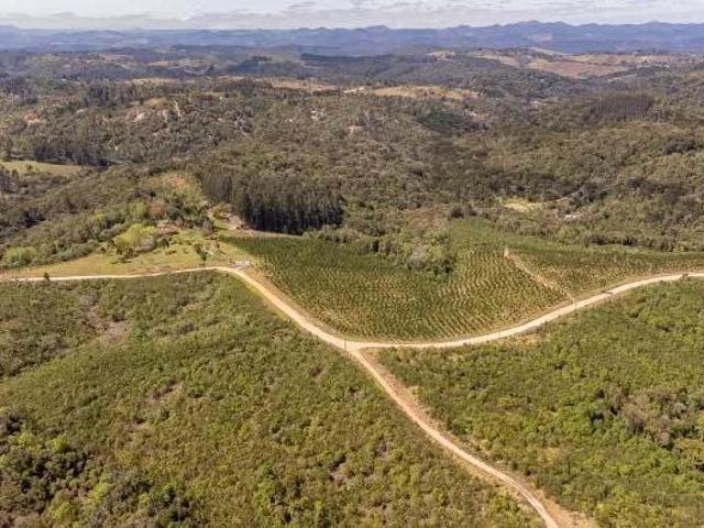 Sítio e chácara venda em Região Geográfica Imediata de Curitiba, Região Metropolitana de Curitiba