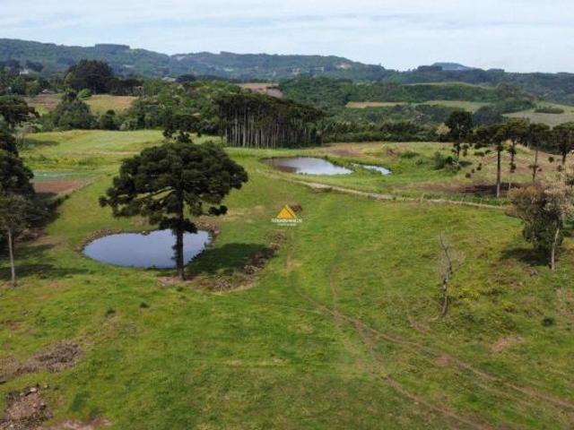 Sítio e chácara venda em Santa Maria do Herval, Região Geográfica Intermediária de Porto Alegre