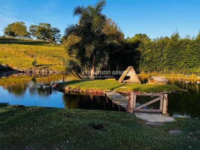 Sítio e chácara venda em Canela, Região Geográfica Intermediária de Caxias do Sul
