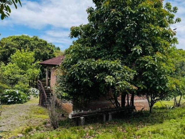 Sítio e chácara venda em Região Geográfica Imediata de Taquara - Parobé - Igrejinha, Três Coroas