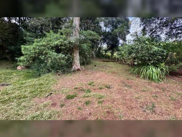 Sítio e chácara venda em Região Geográfica Imediata de Novo Hamburgo - São Leopoldo, Região Metropolitana de Porto Alegre