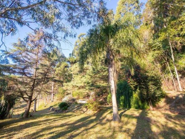 Sítio e chácara venda em Região Geográfica Imediata de Novo Hamburgo - São Leopoldo, Morro Reuter