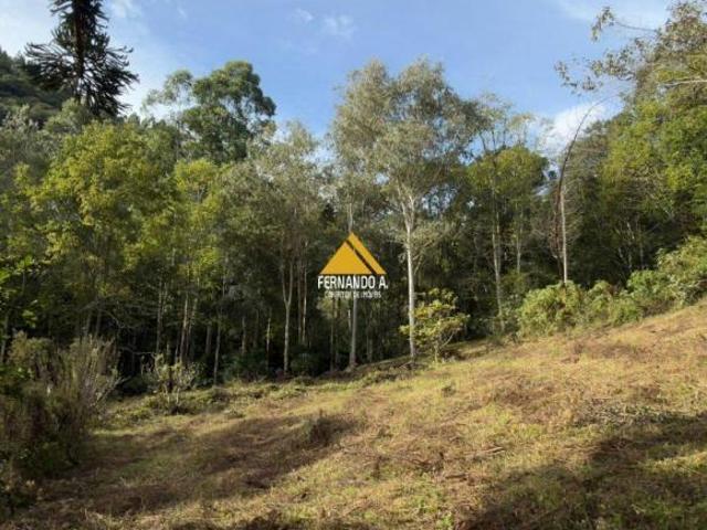 Sítio e chácara venda em Gramado, Região Geográfica Intermediária de Caxias do Sul