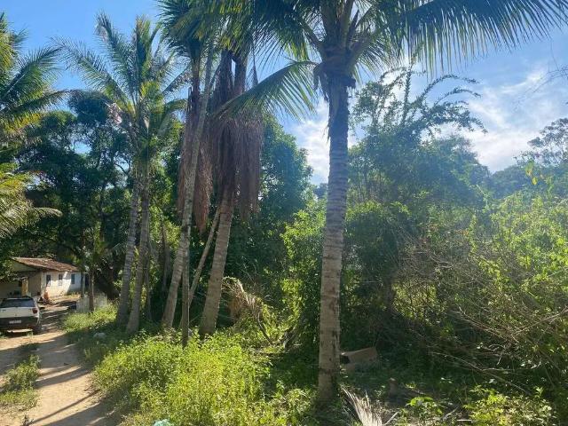Sítio e chácara aluguel em Região Geográfica Imediata de Cabo Frio, Araruama