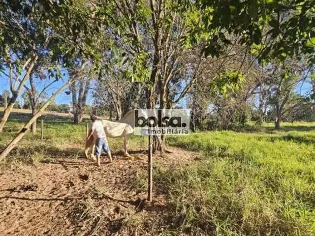 Sítio e chácara aluguel em Região Imediata de Bauru, Bauru