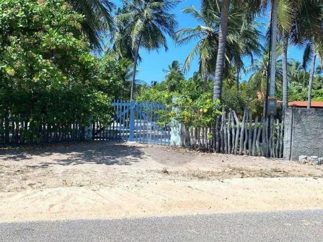 Sítio e chácara aluguel em Região Geográfica Imediata de Fortaleza, Beberibe