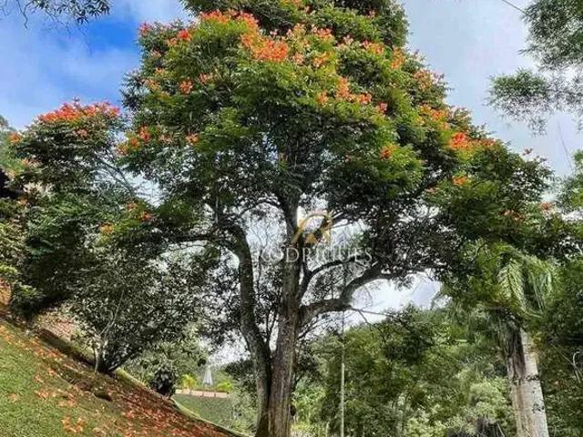 Sítio e chácara aluguel em Região Imediata de Bragança Paulista, Nazaré Paulista
