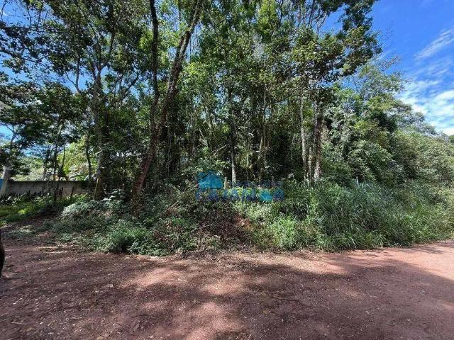 Sítio e chácara aluguel em Região Imediata de São Paulo, Região Metropolitana de São Paulo