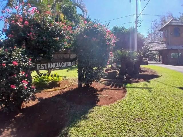 Sítio e chácara aluguel em Região Geográfica Imediata de Londrina, Cambé