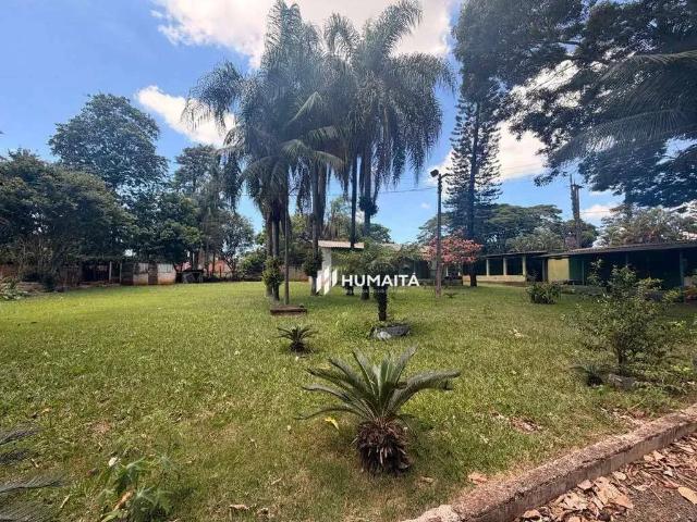 Sítio e chácara aluguel em Região Geográfica Imediata de Londrina, Cambé