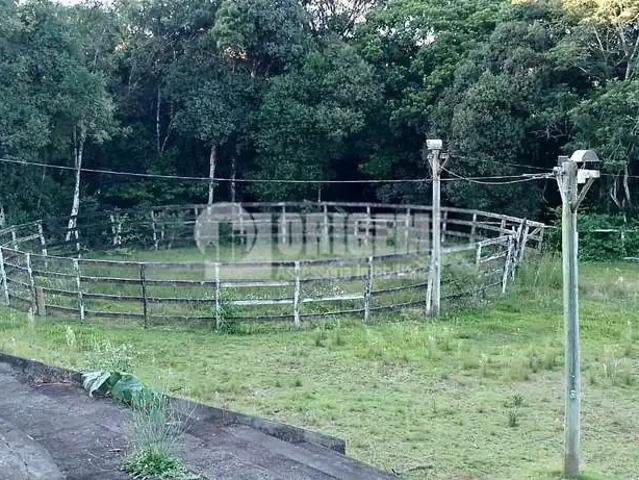 Sítio e chácara aluguel em Região Geográfica Imediata de Curitiba, Região Metropolitana de Curitiba