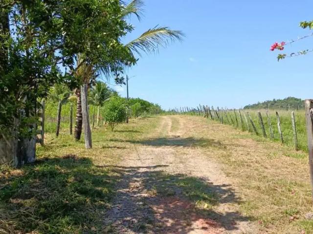 Sítio e chácara aluguel em Região Geográfica Imediata de Salvador, Região Metropolitana de Salvador