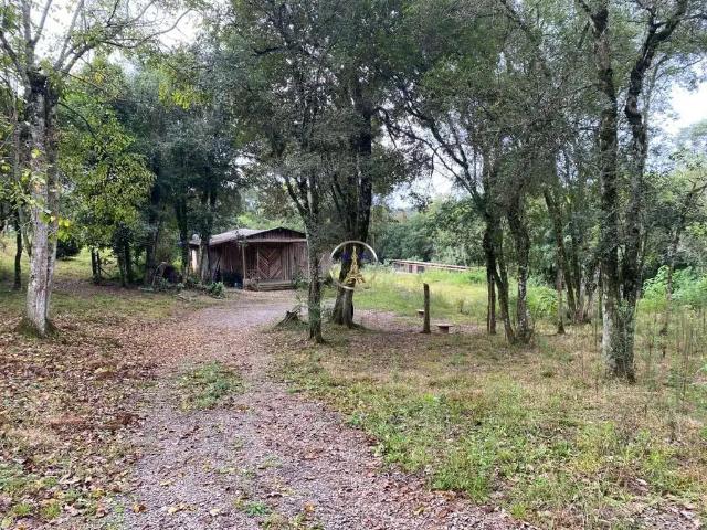 Sítio e chácara aluguel em Região Geográfica Imediata de Caxias do Sul, Caxias do Sul
