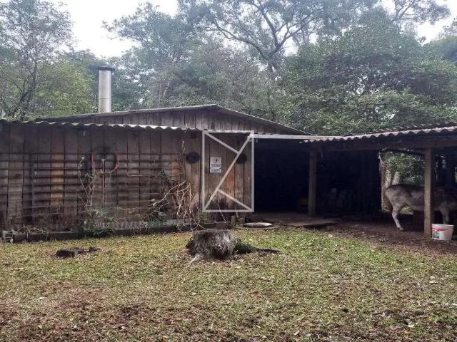 Sítio e chácara aluguel em Região Geográfica Imediata de Caxias do Sul, Caxias do Sul