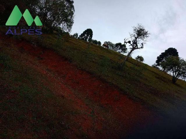 Sítio e chácara aluguel em Região Geográfica Imediata de Curitiba, Região Metropolitana de Curitiba
