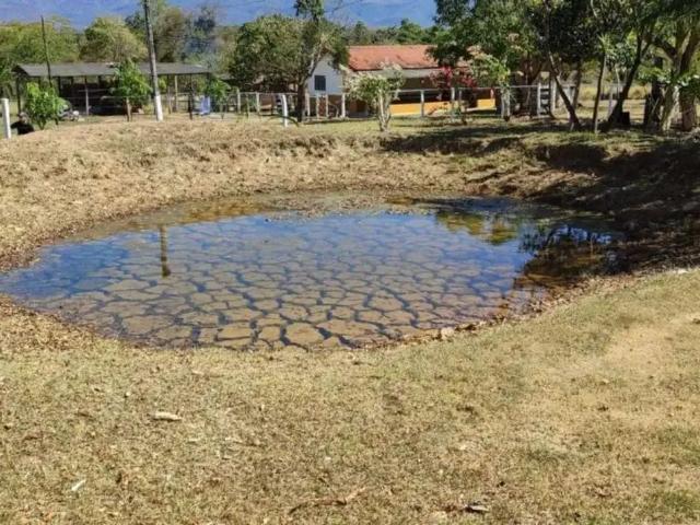 Sítio e chácara aluguel em Região Geográfica Imediata de Águas Lindas de Goiás, Região Integrada de Desenvolvimento do Distrito Federal e Entorno