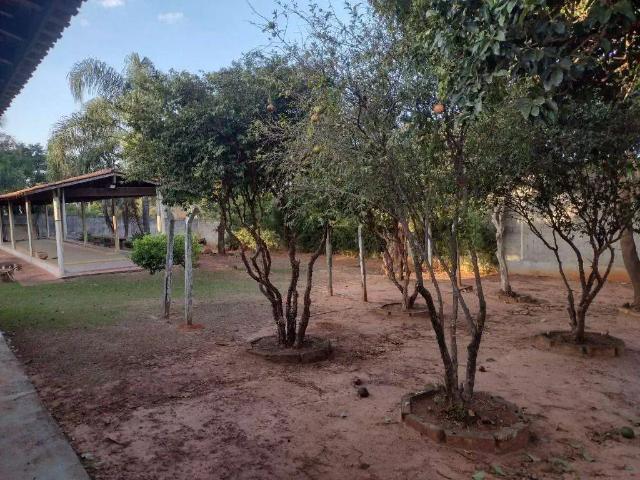Sítio e chácara aluguel em Região Imediata de Campinas, Região Metropolitana de Campinas