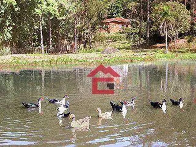 Sítio e chácara aluguel em Região Imediata de São Paulo, Região Metropolitana de São Paulo