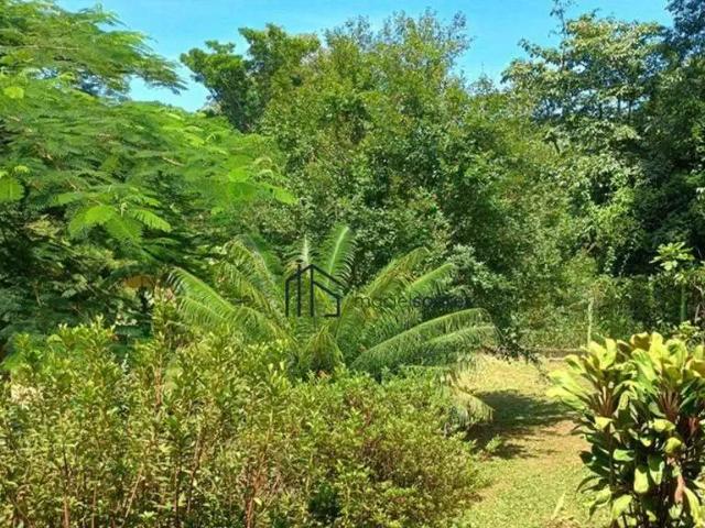 Sítio e chácara aluguel em Região Imediata de Campinas, Região Metropolitana de Campinas