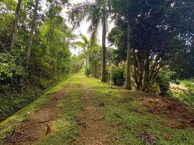 Sítio e chácara aluguel em Região Geográfica Imediata de Juiz de Fora, Juiz de Fora