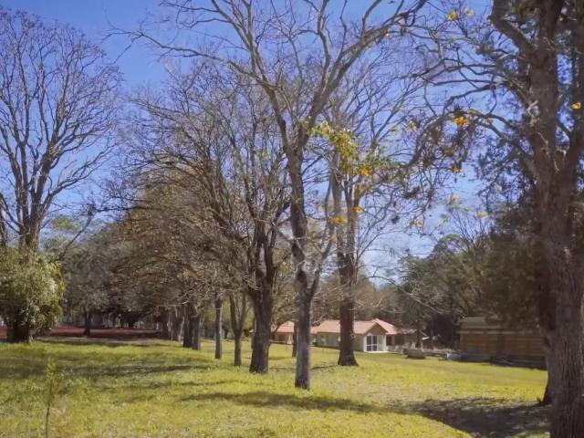 Sítio e chácara aluguel em Região Geográfica Imediata de Londrina, Londrina