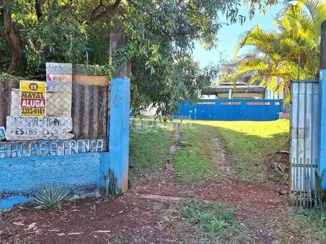 Sítio e chácara aluguel em Região Geográfica Imediata de Londrina, Londrina