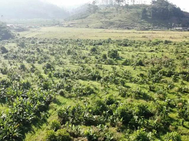 Sítio e chácara aluguel em Região Geográfica Imediata de Itajaí, Luiz Alves