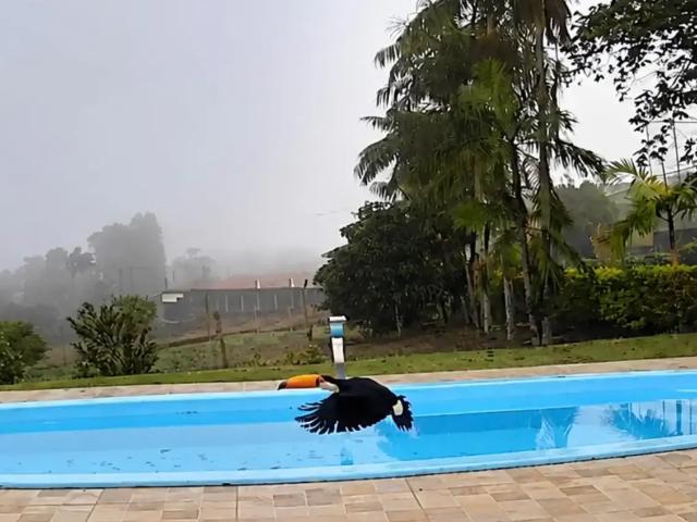 Sítio e chácara aluguel em Região Imediata de Sorocaba, Região Metropolitana de Sorocaba