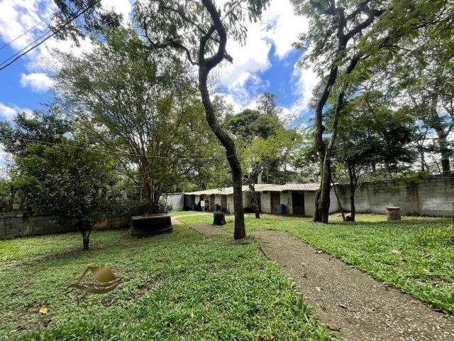 Sítio e chácara aluguel em Mairiporã