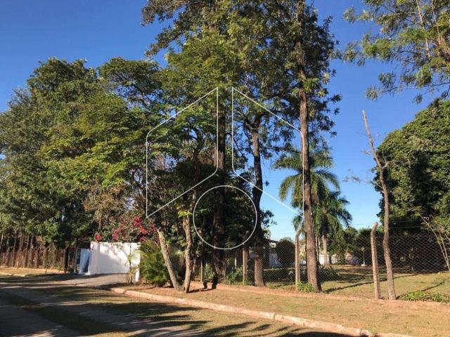 Sitio aluguel em Marília, Marília