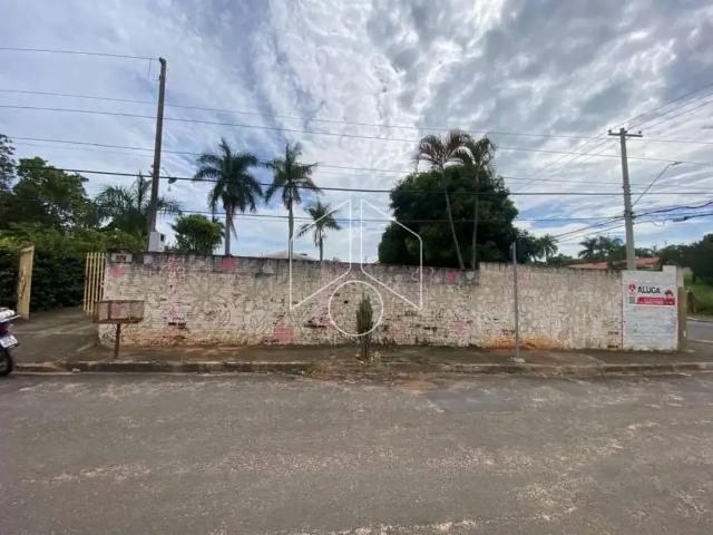 Sítio e chácara aluguel em Região Imediata de Marília, Marília