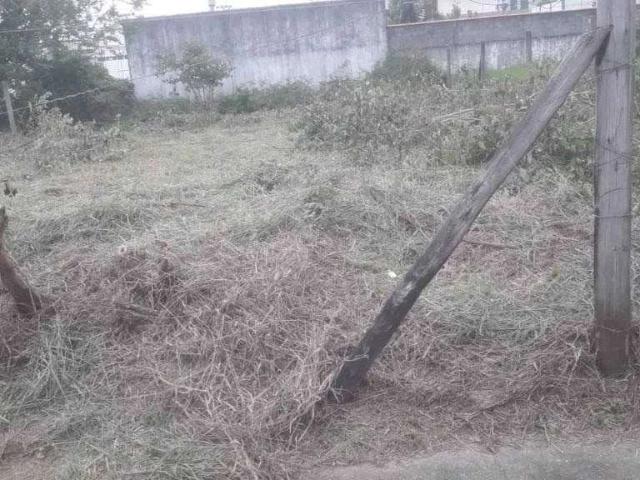 Sítio e chácara aluguel em Região Geográfica Imediata de Florianópolis, Palhoça