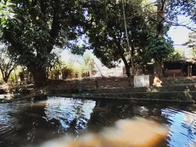Sítio e chácara aluguel em Região Imediata de Ribeirão Preto, Região Metropolitana de Ribeirão Preto